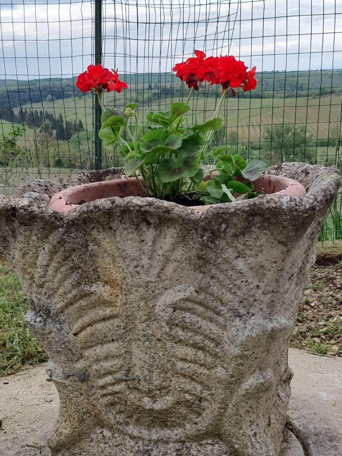 شقة Il Giardino Del Chianti سيينا المظهر الخارجي الصورة
