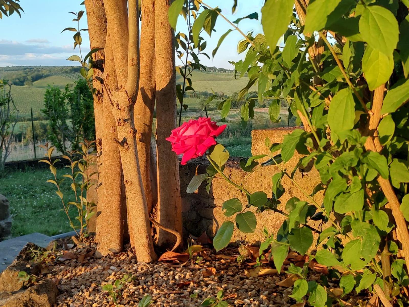 شقة Il Giardino Del Chianti سيينا المظهر الخارجي الصورة